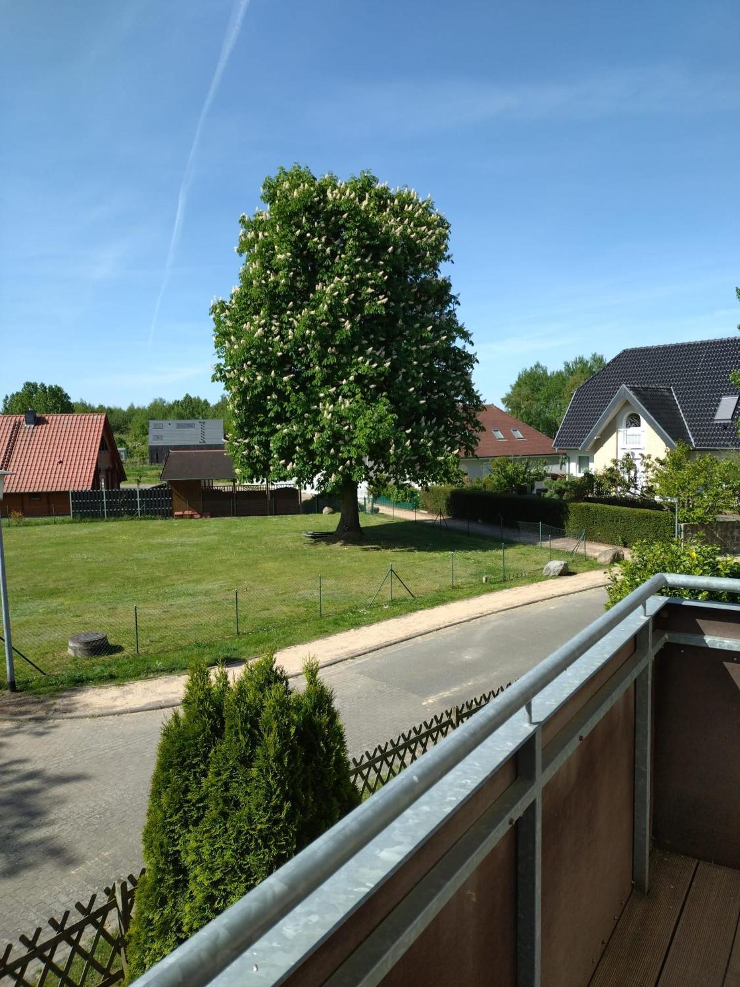 Ferienhaus Rechlin See Buitenkant foto